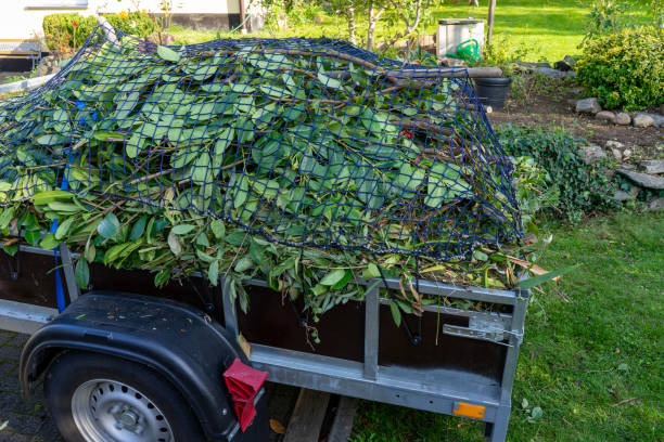 Best Estate Cleanout  in Catonsville, MD
